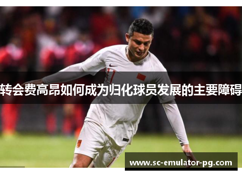 转会费高昂如何成为归化球员发展的主要障碍 转会费高昂如何成为归化球员发展的主要障碍